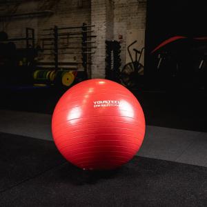 Купить Гимнастический мяч Yousteel Hard 55см в Кизилюрте 