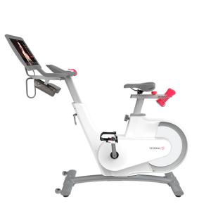 Купить Велотренажер Yesoul BV1-W PLUS в Кизилюрте 
